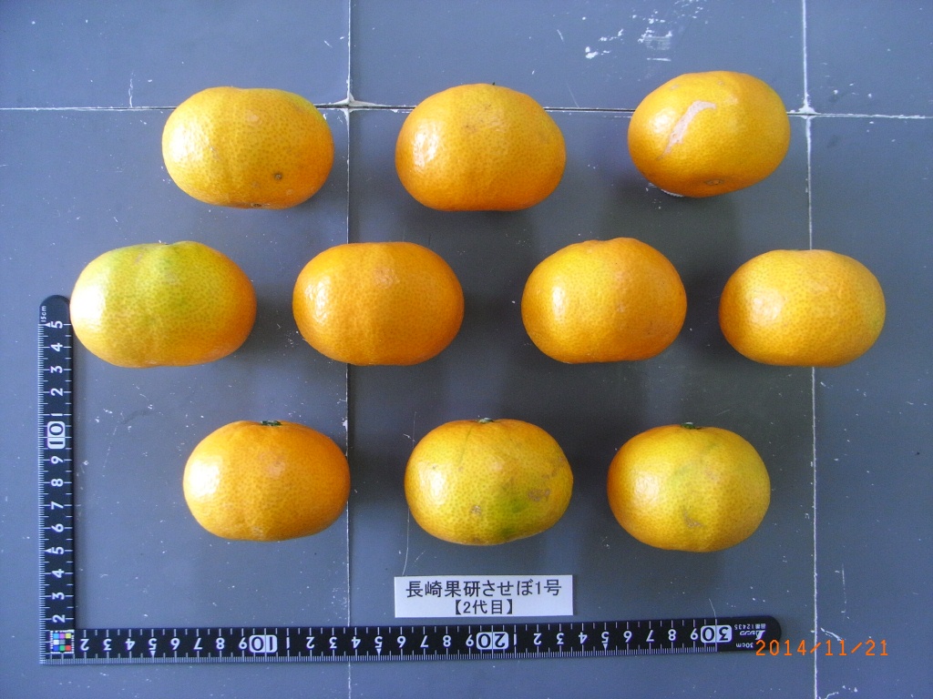 果实 (MAFF, Japan)