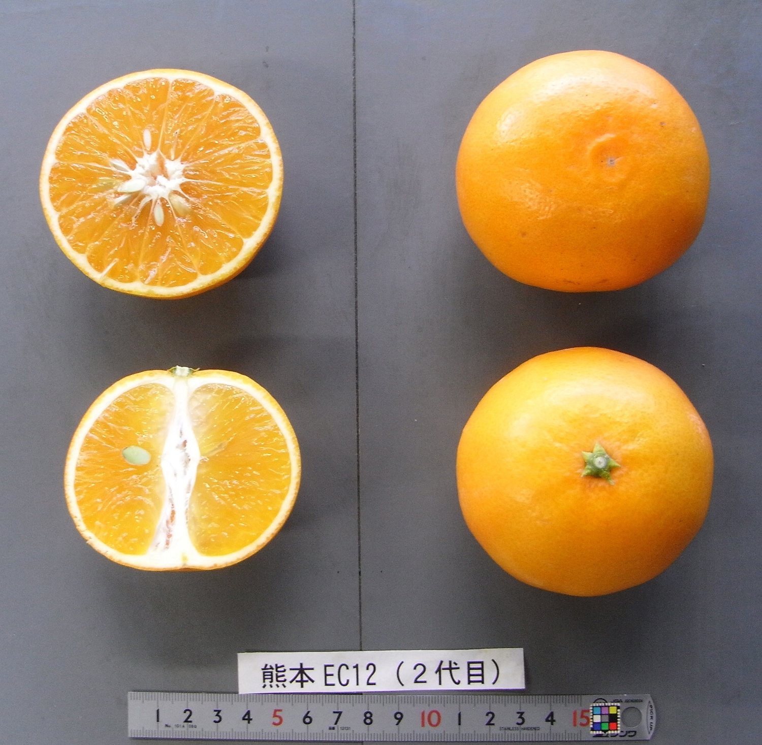 果实 (MAFF, Japan)