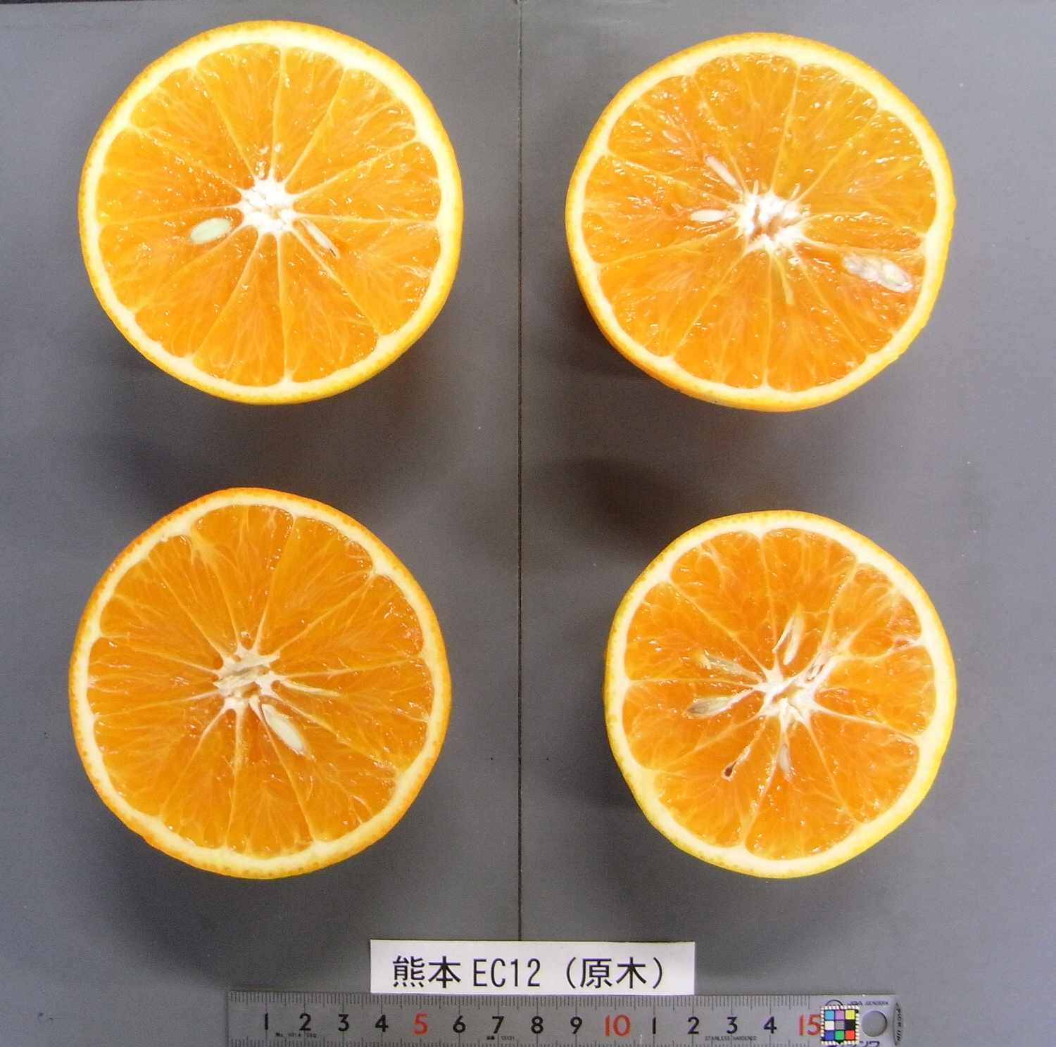 果实 (MAFF, Japan)