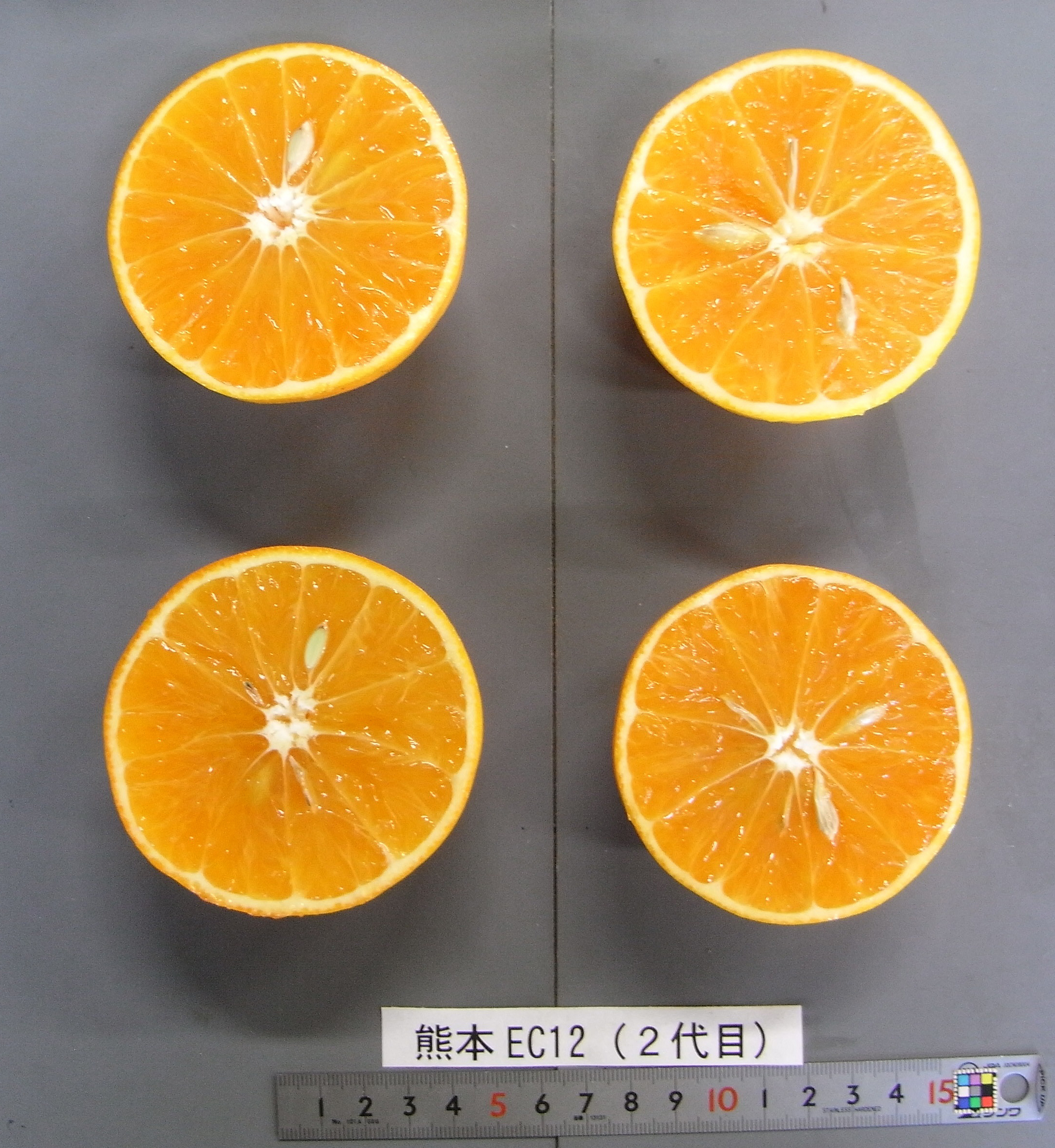 果实 (MAFF, Japan)