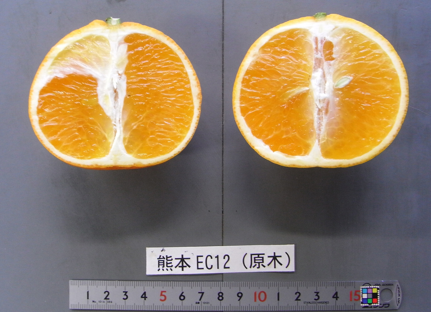 果实 (MAFF, Japan)