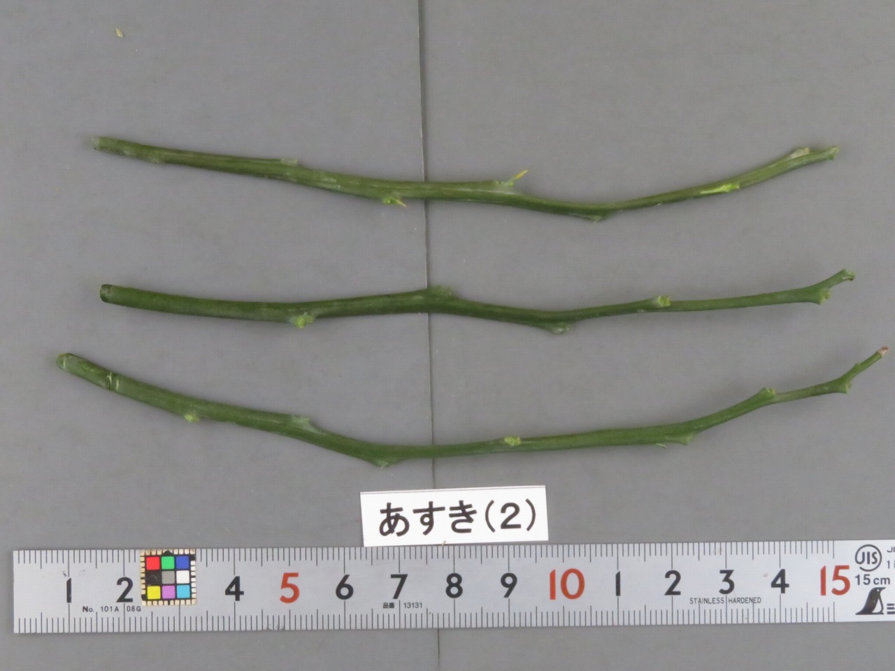 果实 (MAFF, Japan)