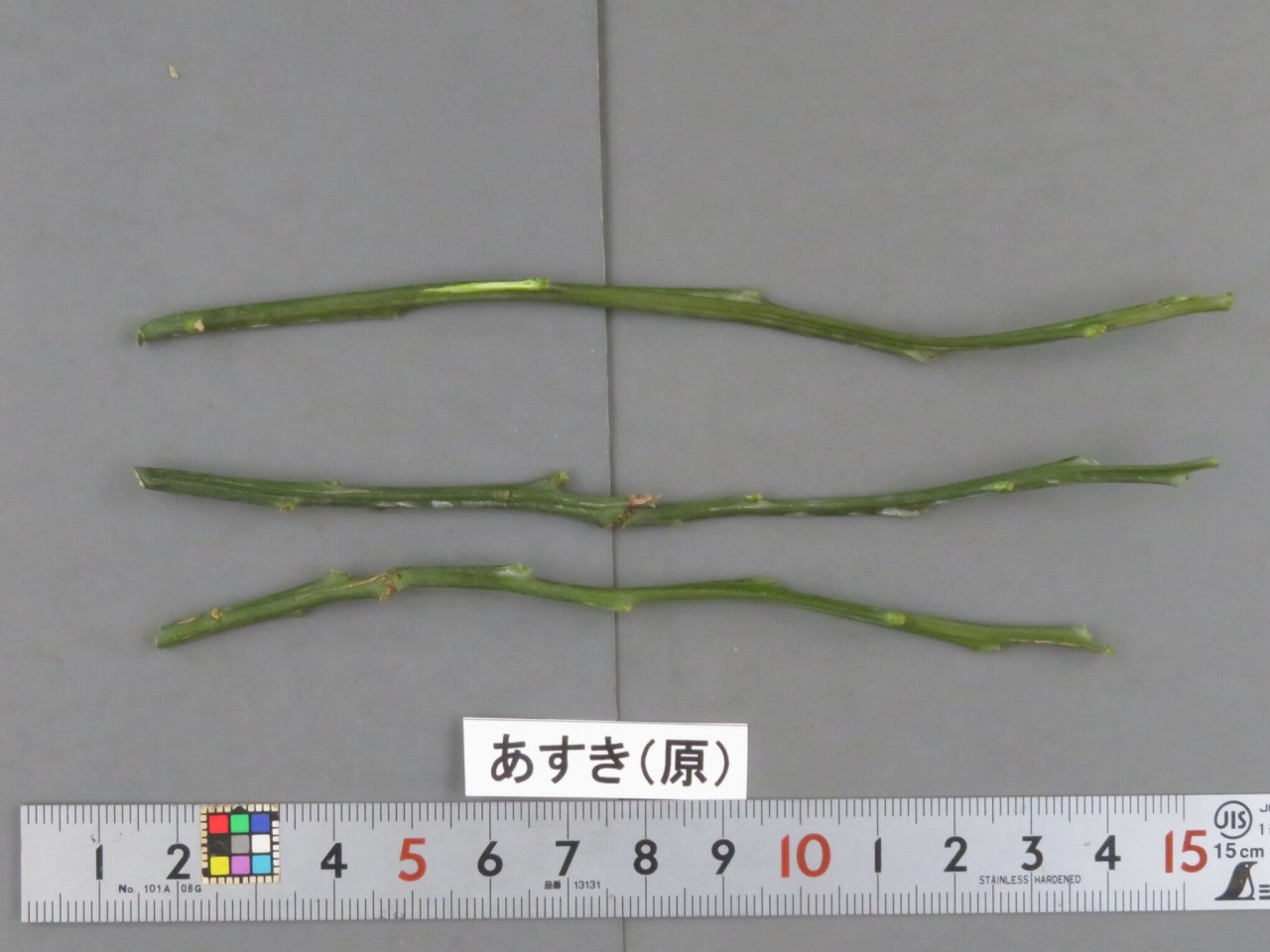 果实 (MAFF, Japan)