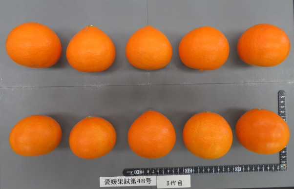 果实 (MAFF, Japan)