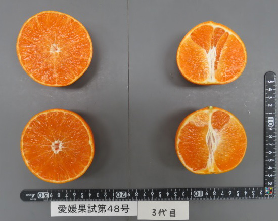 果实 (MAFF, Japan)