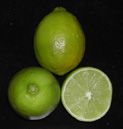 '比尔斯'莱姆 Citrus latifolia, 'Bearss' lime