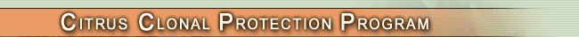 Citrus Clonal Protection Program
