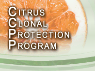 Citrus Clonal Protection Program